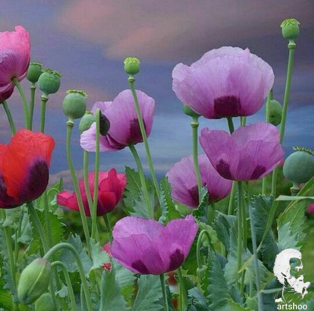 گل اورژینال رنگ روغن